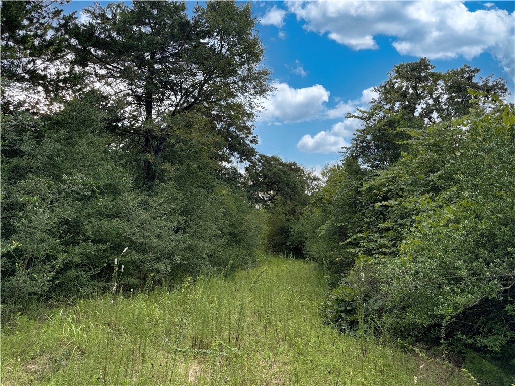 Tbd Tbd Old Hickory Grove Road Northeast, Unit COUNTYROAD Franklin, TX 77856 - Photo 29 of 48 a view of a garden