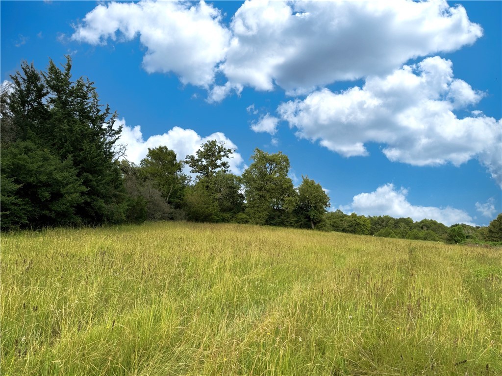 Tbd Tbd Old Hickory Grove Road Northeast, Unit COUNTYROAD Franklin, TX 77856 - Photo 30 of 48 a view of a lake