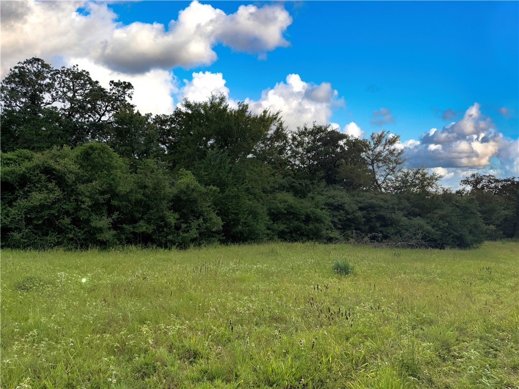 Tbd Tbd Old Hickory Grove Road Northeast, Unit COUNTYROAD Franklin, TX 77856 - Photo 33 of 48 a view of a green yard