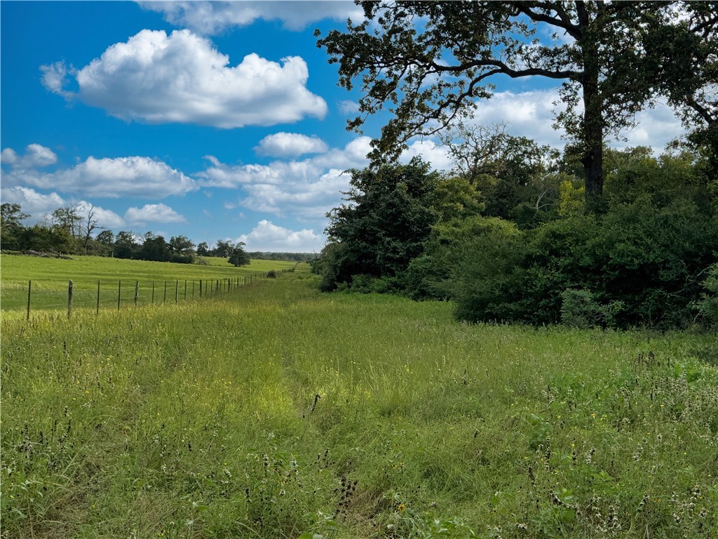 Tbd Tbd Old Hickory Grove Road Northeast, Unit COUNTYROAD Franklin, TX 77856 - Photo 35 of 48 a view of a big yard with a large trees