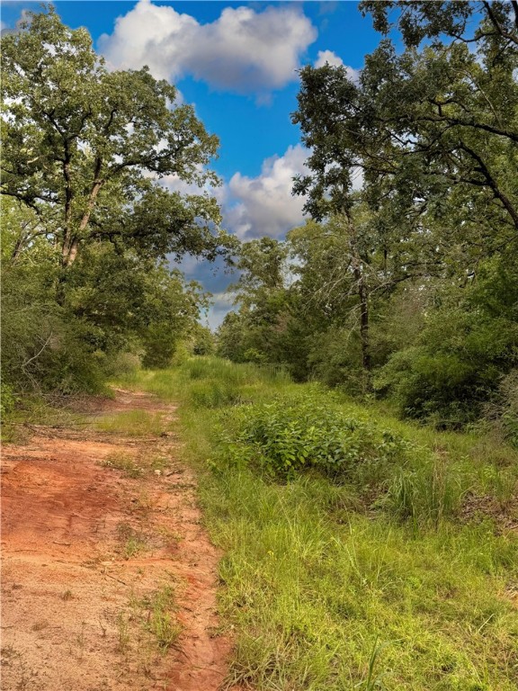 Tbd Tbd Old Hickory Grove Road Northeast, Unit COUNTYROAD Franklin, TX 77856 - Photo 36 of 48