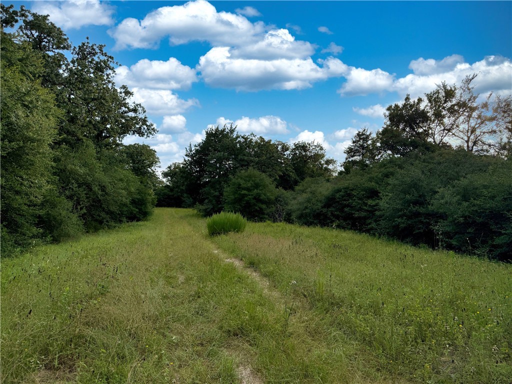 Tbd Tbd Old Hickory Grove Road Northeast, Unit COUNTYROAD Franklin, TX 77856 - Photo 37 of 48 a view of a big yard with lots of green space