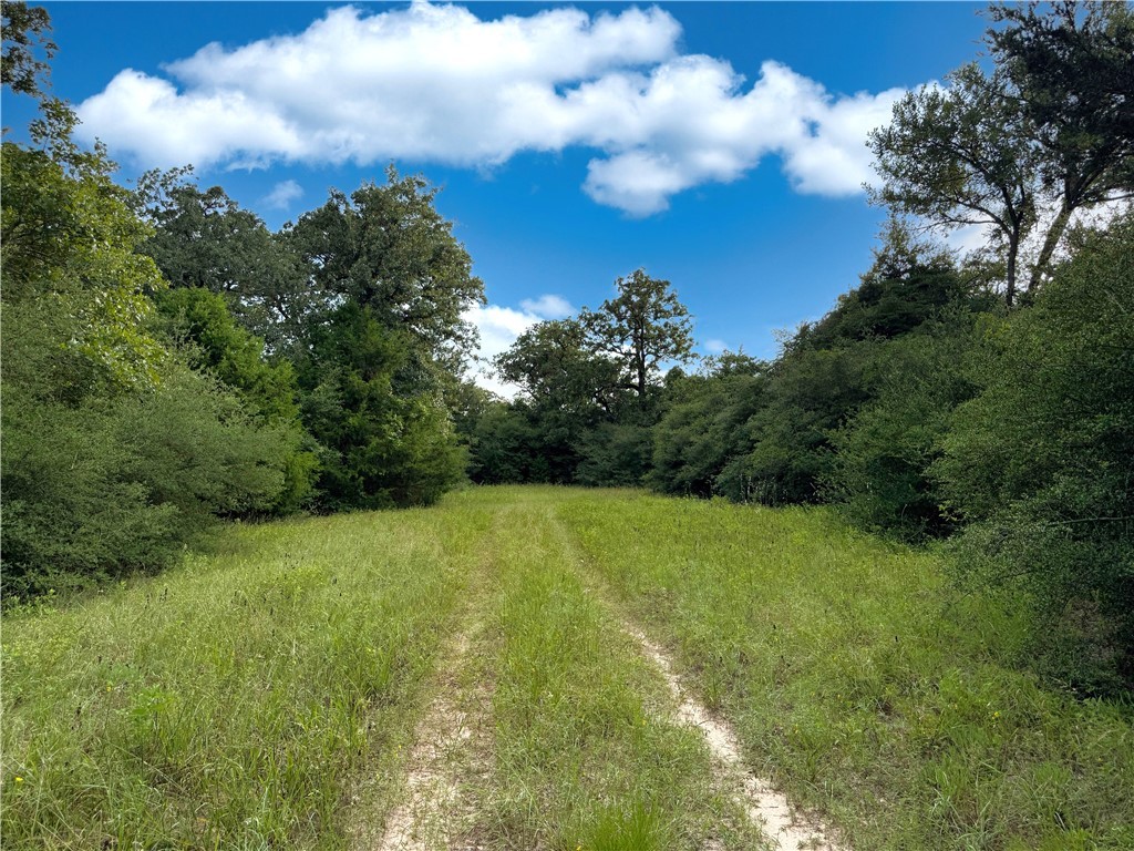 Tbd Tbd Old Hickory Grove Road Northeast, Unit COUNTYROAD Franklin, TX 77856 - Photo 38 of 48 a view of a big yard with lots of green space