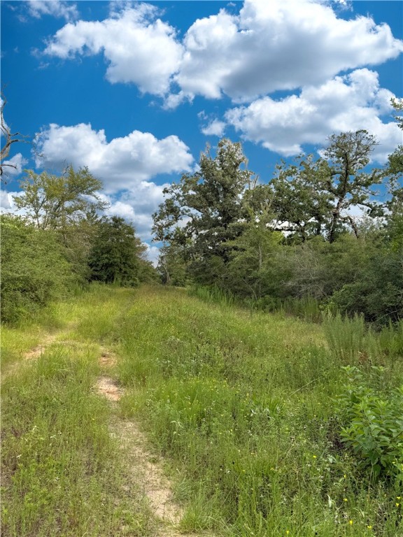Tbd Tbd Old Hickory Grove Road Northeast, Unit COUNTYROAD Franklin, TX 77856 - Photo 39 of 48 a view of a yard with an outdoor space