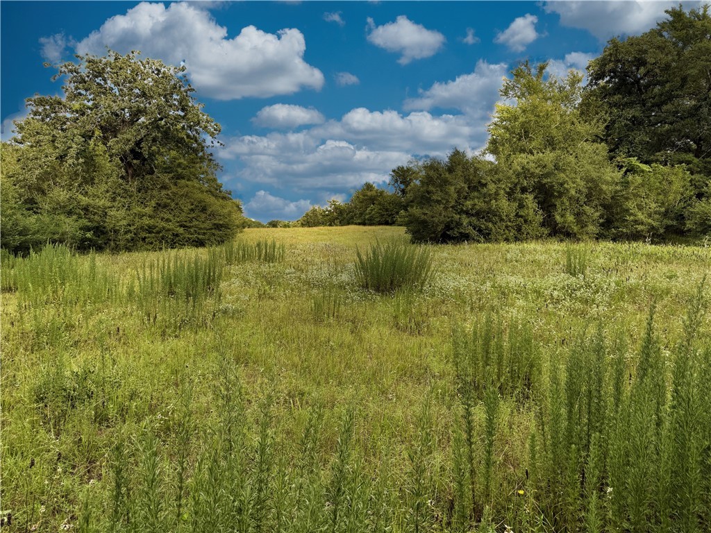 Tbd Tbd Old Hickory Grove Road Northeast, Unit COUNTYROAD Franklin, TX 77856 - Photo 40 of 48 a view of a lake view