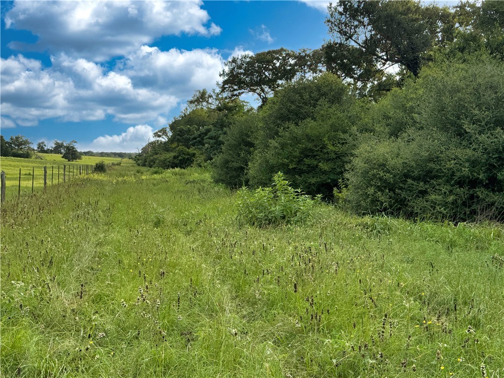 Tbd Tbd Old Hickory Grove Road Northeast, Unit COUNTYROAD Franklin, TX 77856 - Photo 41 of 48 a view of a green field with lots of bushes