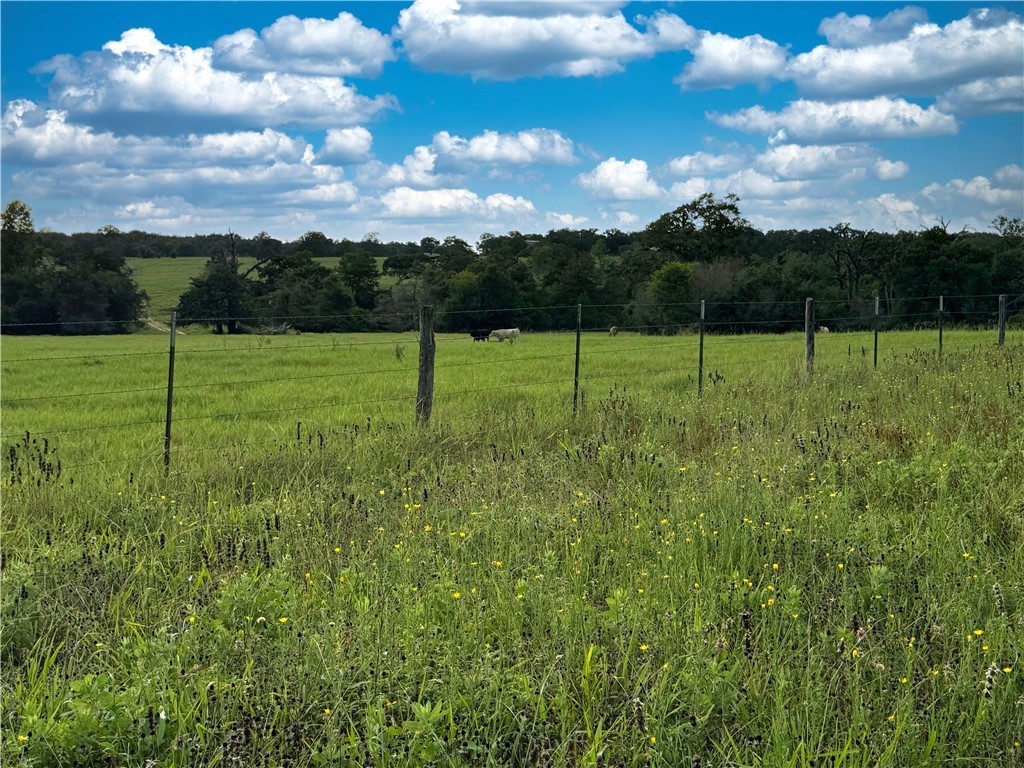 Tbd Tbd Old Hickory Grove Road Northeast, Unit COUNTYROAD Franklin, TX 77856 - Photo 42 of 48 a view of a garden with an outdoor space