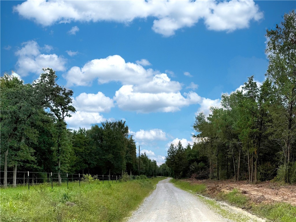 Tbd Tbd Old Hickory Grove Road Northeast, Unit COUNTYROAD Franklin, TX 77856 - Photo 43 of 48 a view of a bunch of trees in background