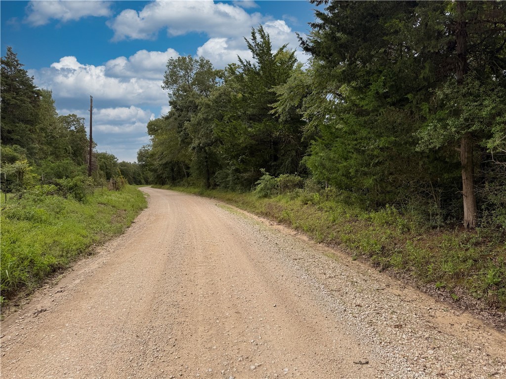 Tbd Tbd Old Hickory Grove Road Northeast, Unit COUNTYROAD Franklin, TX 77856 - Photo 45 of 48 a view of a pathway both side of yard