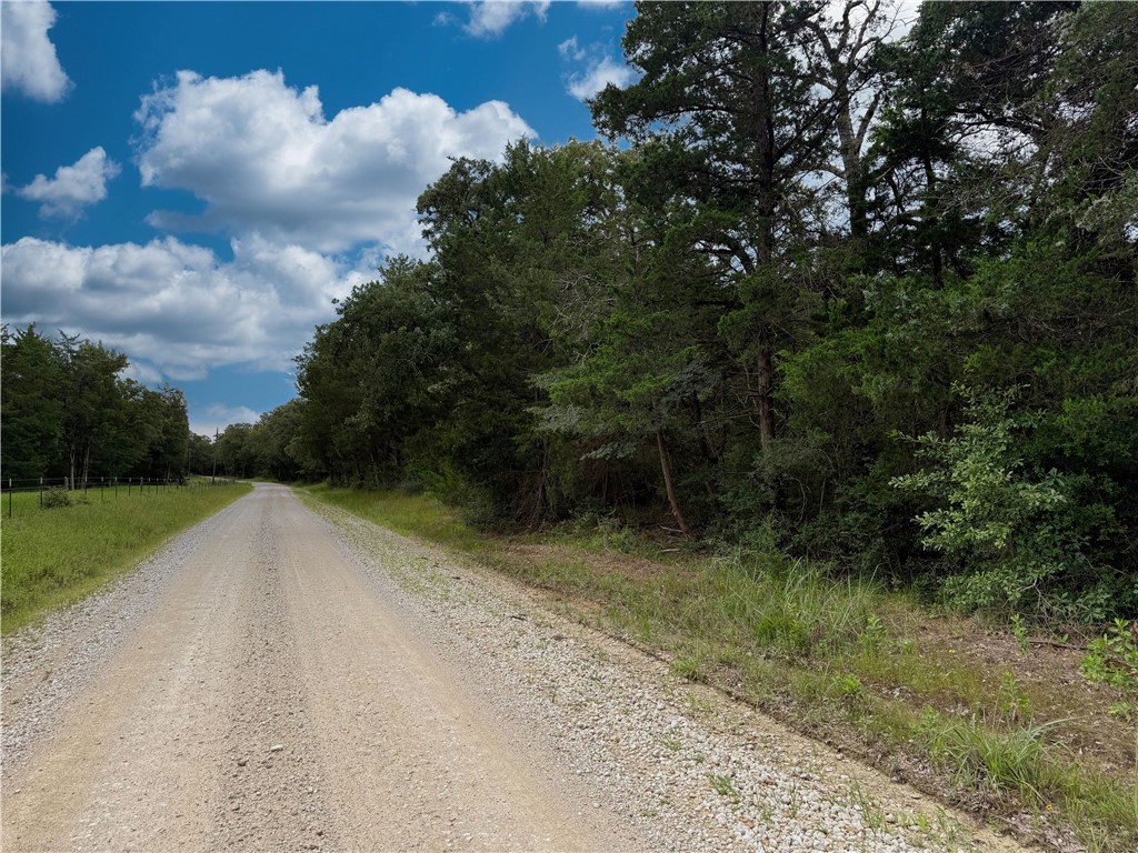 Tbd Tbd Old Hickory Grove Road Northeast, Unit COUNTYROAD Franklin, TX 77856 - Photo 46 of 48 a view of a yard with a trees