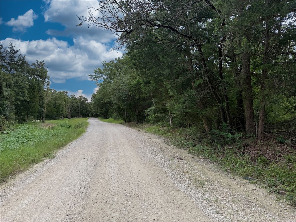 Tbd Tbd Old Hickory Grove Road Northeast, Unit COUNTYROAD Franklin, TX 77856 - Photo 47 of 48 a view of a road with a trees in the background
