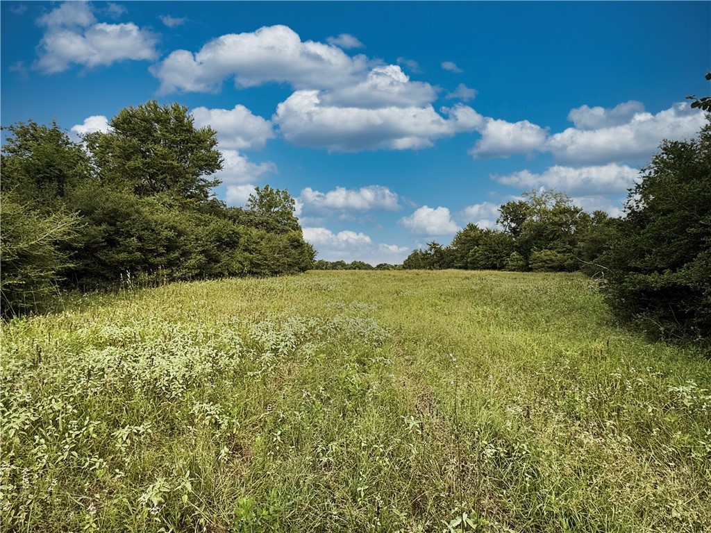 Tbd Tbd Old Hickory Grove Road Northeast, Unit COUNTYROAD Franklin, TX 77856 - Photo 5 of 48 a view of a lake
