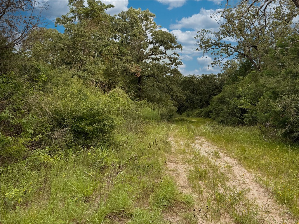 Tbd Tbd Old Hickory Grove Road Northeast, Unit COUNTYROAD Franklin, TX 77856 - Photo 9 of 48