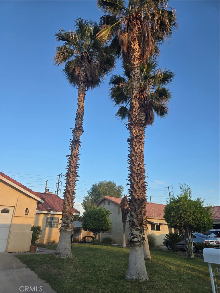 33860 Bell Thousand Palms, CA 92276 - Photo 2 of 49 a view of a yard in front of a house