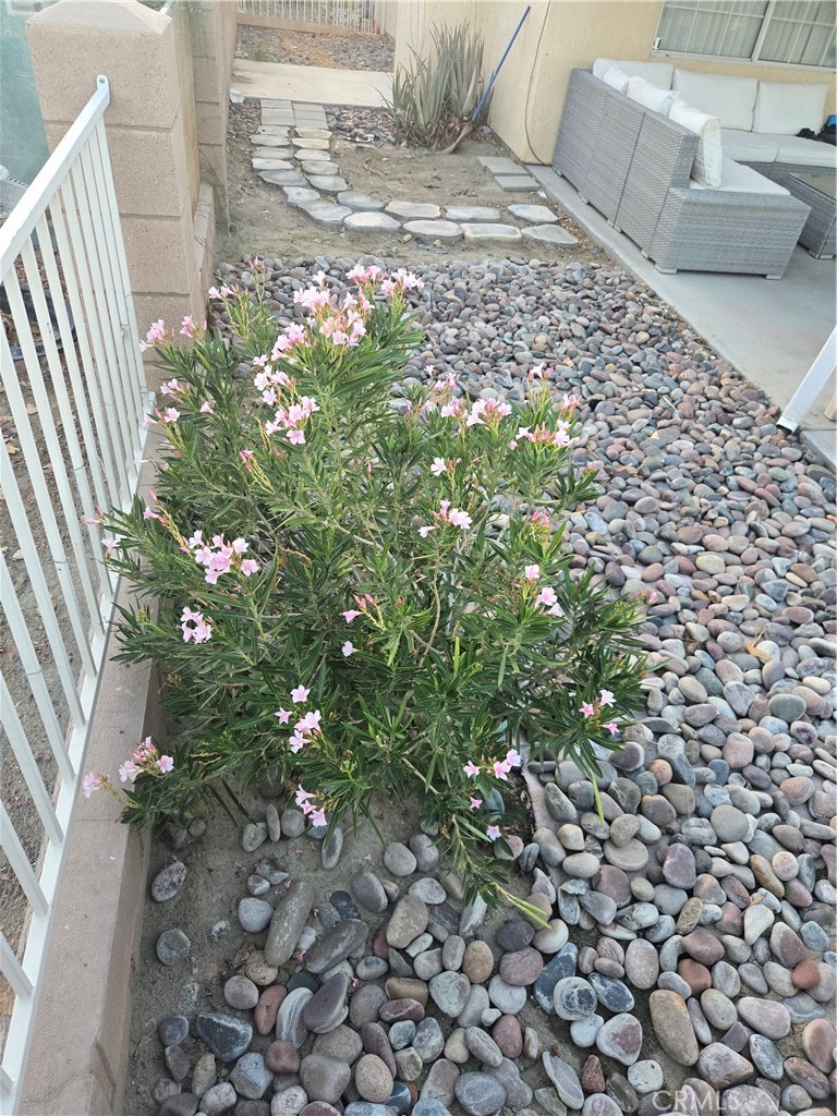 33860 Bell Thousand Palms, CA 92276 - Photo 34 of 49 a view of a yard