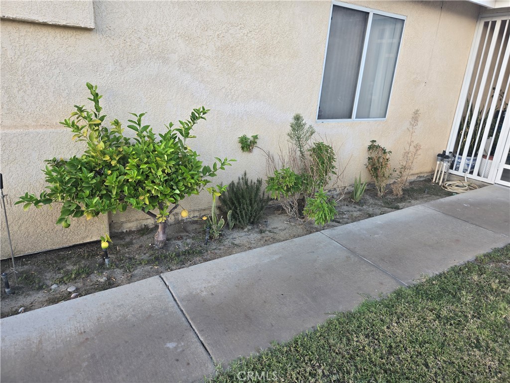 33860 Bell Thousand Palms, CA 92276 - Photo 5 of 49 a potted plant sitting in front of a house