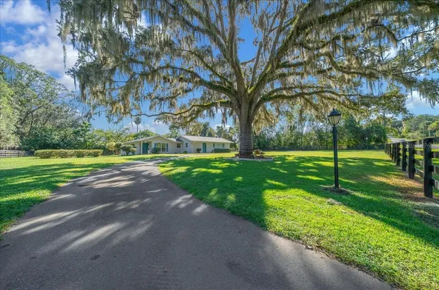 a view of a park with tree s