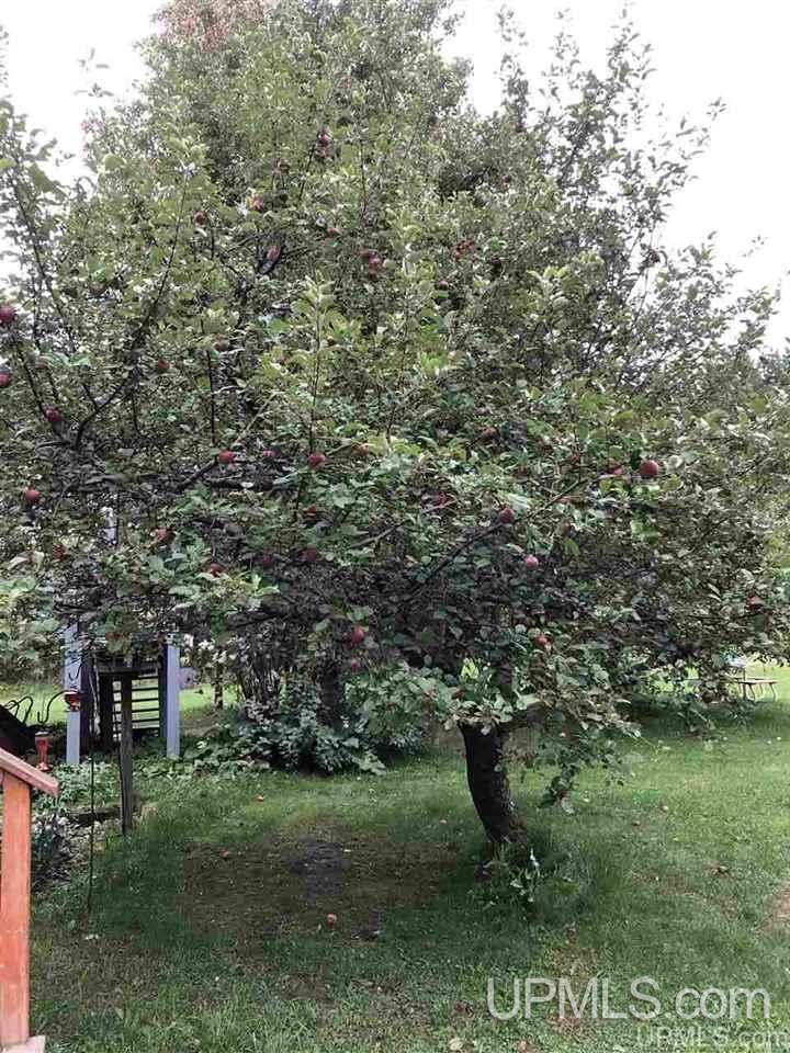 20329 Worham Road Chassell, MI 49916 - Photo 25 of 26 Gallery Image 25
