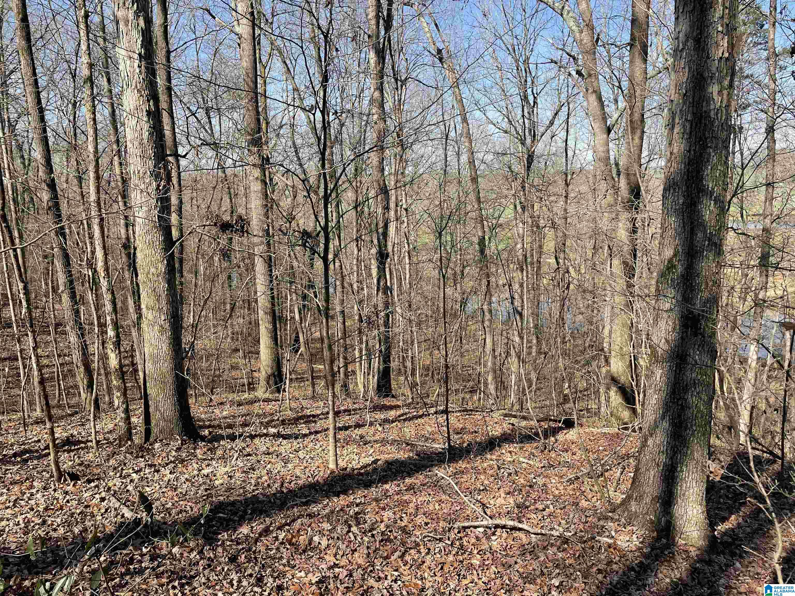 0 County Road 159, Unit 79 AC Heflin, AL 36264 - Photo 13 of 14