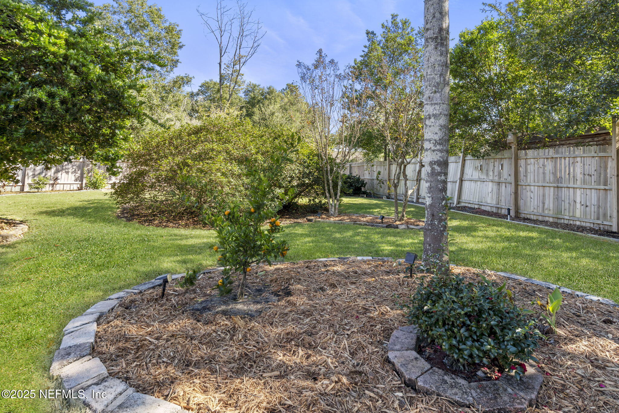 2587 Bayou Ridge Court Orange Park, FL 32065 - Photo 13 of 40 a view of a backyard with green space
