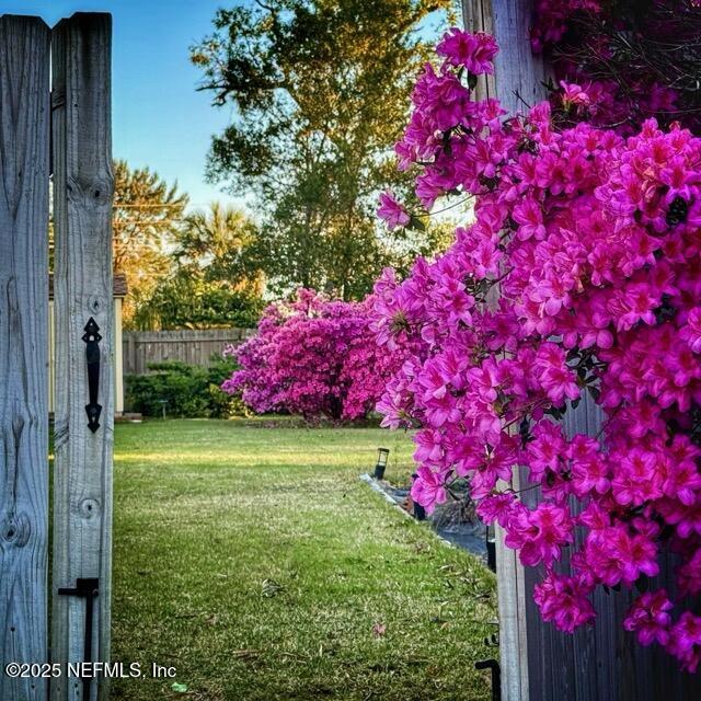 2587 Bayou Ridge Court Orange Park, FL 32065 - Photo 37 of 40 a small yard in front of the house