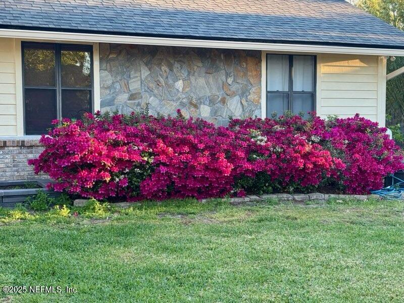 2587 Bayou Ridge Court Orange Park, FL 32065 - Photo 38 of 40 a front view of house with yard and trees