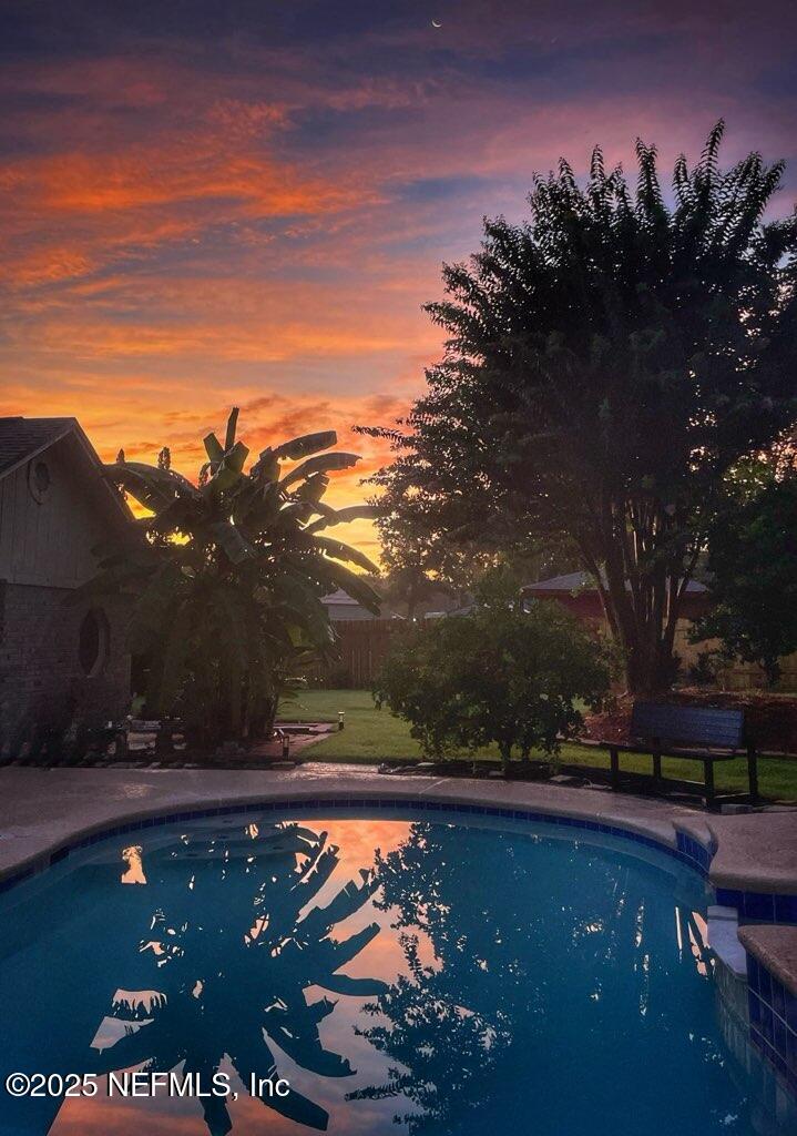 2587 Bayou Ridge Court Orange Park, FL 32065 - Photo 4 of 40 a view of a yard