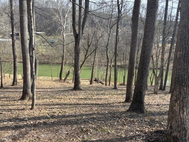 0 Clay Chapel Road Gallipolis, OH 45631 - Photo 4 of 17 Gallery Image 4
