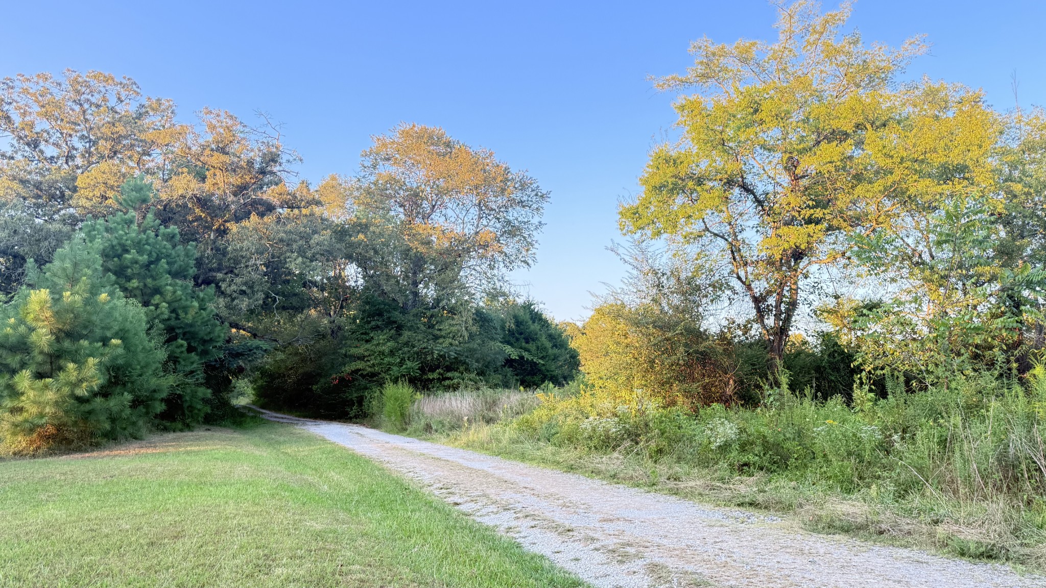 0 Normandy Road Normandy, TN 37360 - Photo 2 of 10 Gallery Image 2