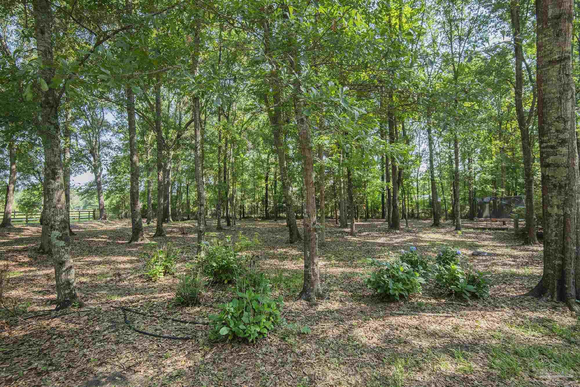 151 Mockingbird Lane Atmore, AL 36502 - Photo 8 of 72 Gallery Image 8