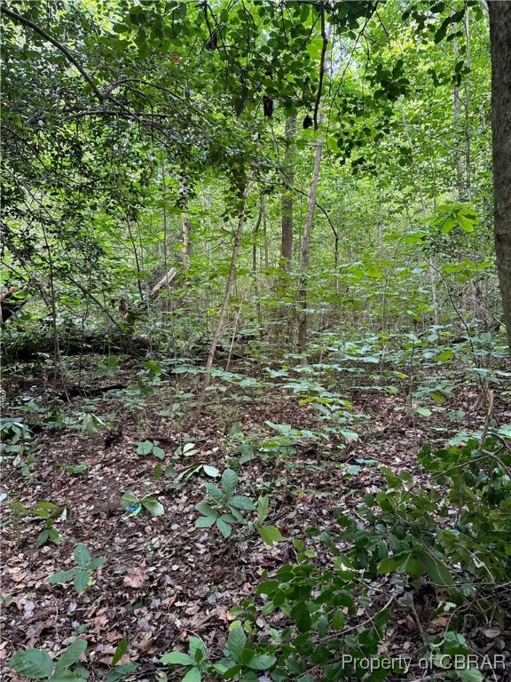 5.7-ac Dutton Road Gloucester, VA 23061 - Photo 14 of 21