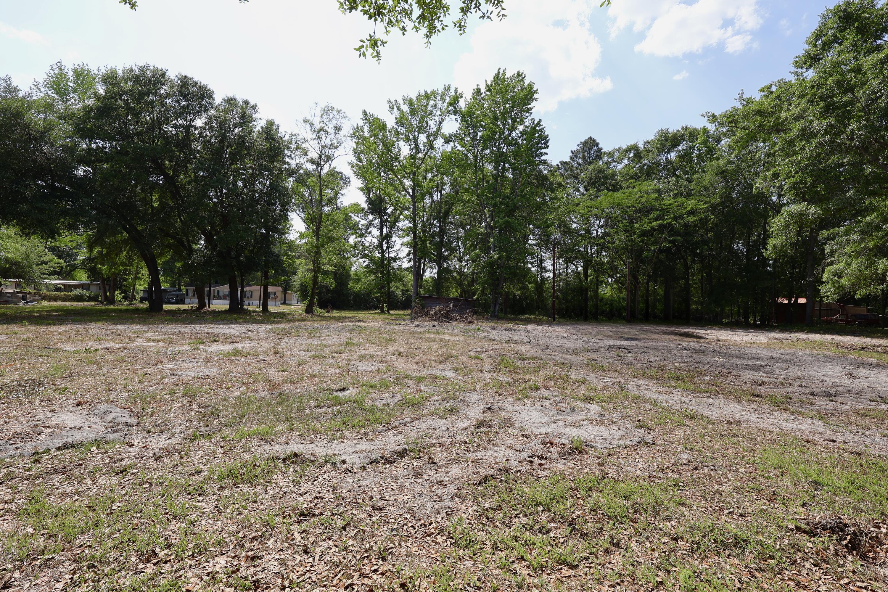 0 Mill Pond Road Dorchester, SC 29437 - Photo 5 of 12