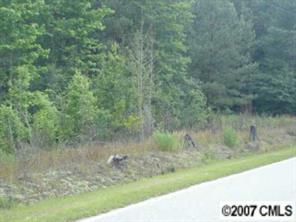 566 State Rd S-13-699 Patrick, SC 29584 - Photo 2 of 3 a view of a forest with trees in the background