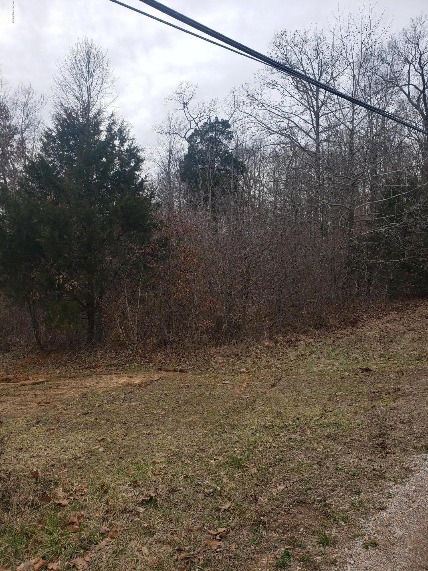 Lot 1 Christian Church Road Brandenburg, KY 40108 - Photo 1 of 6 Land