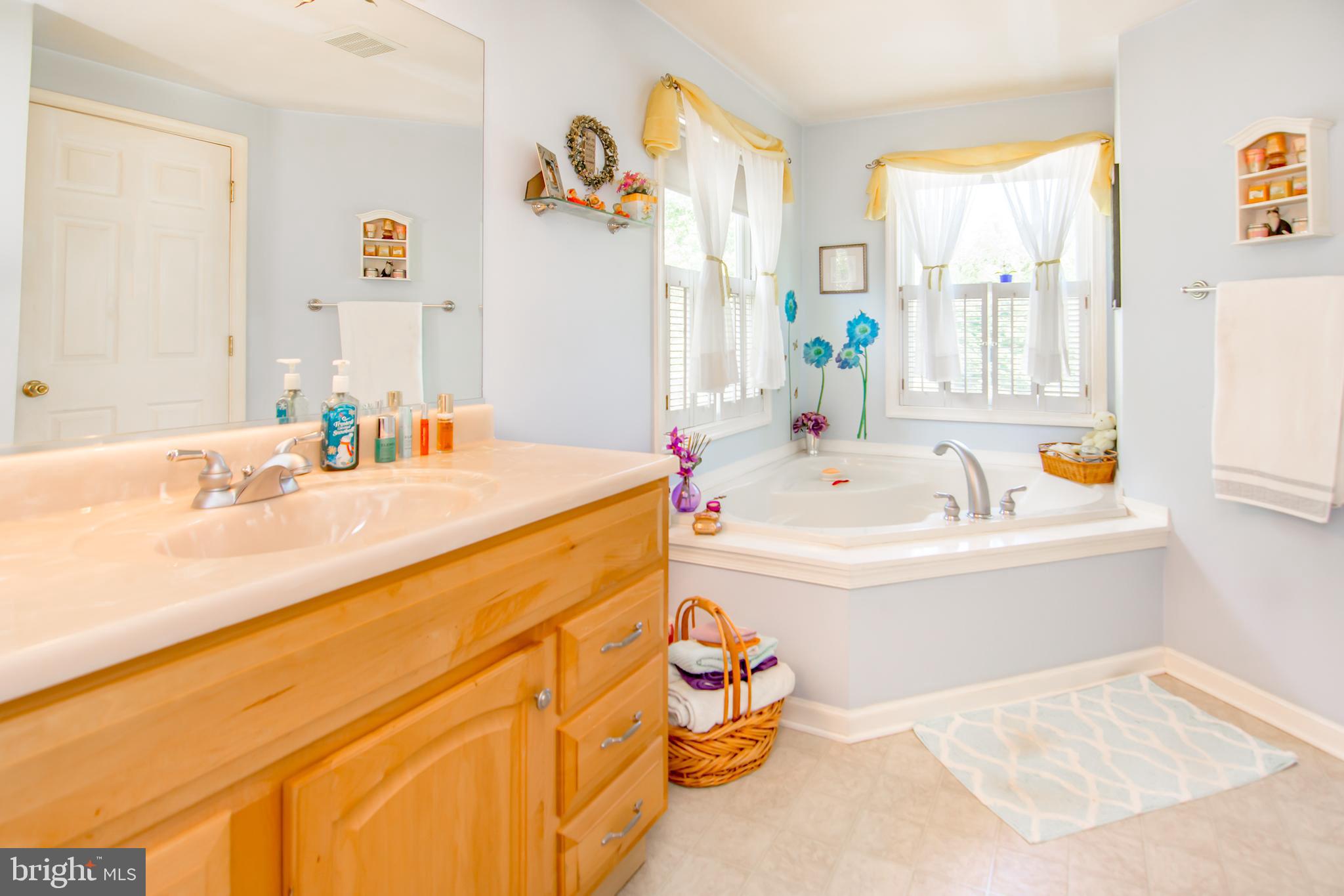 2859 Patapsco Road Finksburg, MD 21048 - Photo 23 of 34 Jacuzzi tub and her vanity