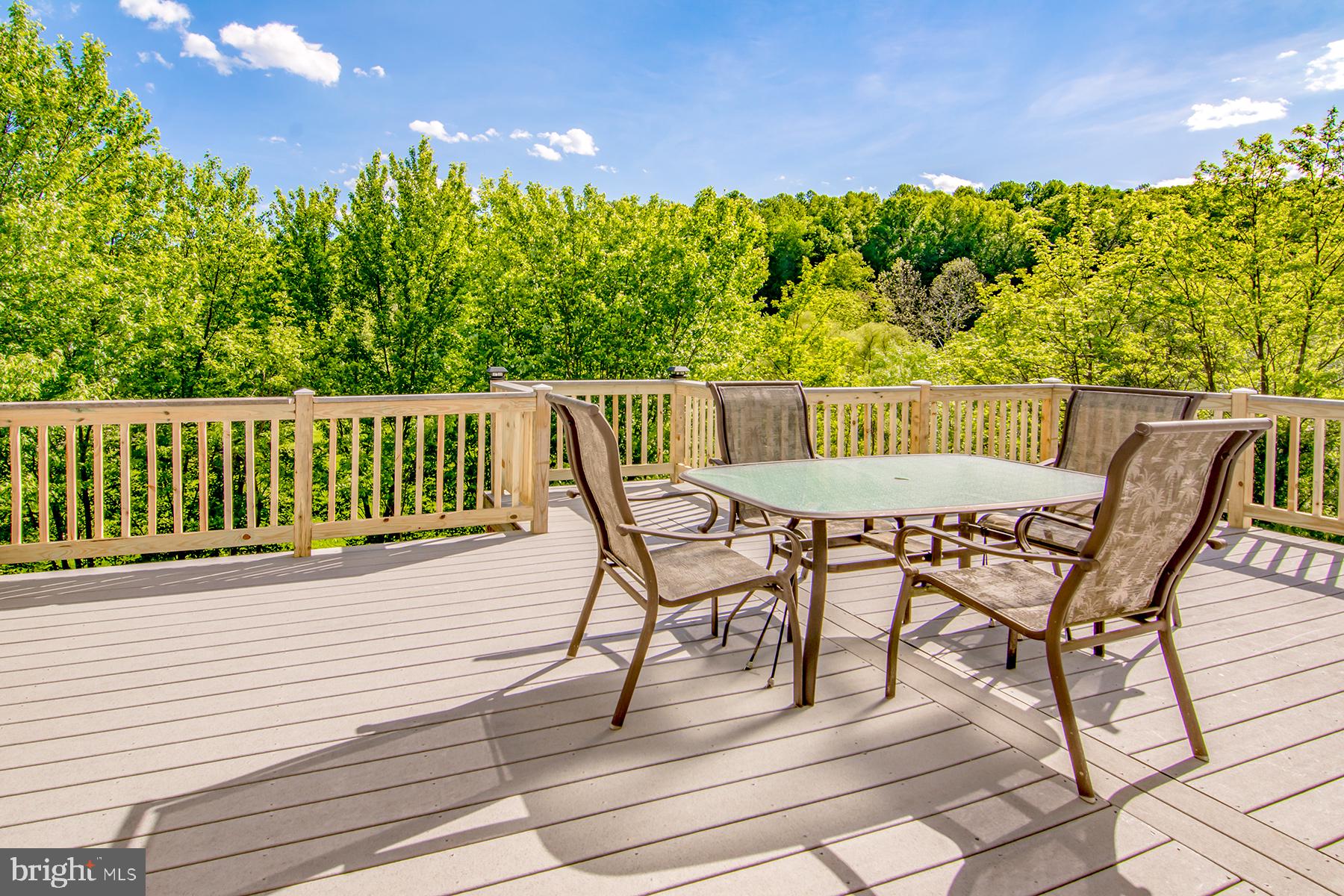 2859 Patapsco Road Finksburg, MD 21048 - Photo 8 of 34 What a view!