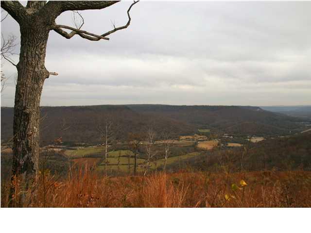 0 Jackson Point Road, Unit 1 Sewanee, TN 37375 - Photo 1 of 7 Beautiful view!