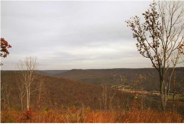 0 Jackson Point Road, Unit 1 Sewanee, TN 37375 - Photo 4 of 7 View #3