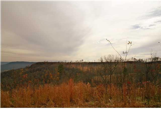 0 Jackson Point Road, Unit 1 Sewanee, TN 37375 - Photo 5 of 7 View #4