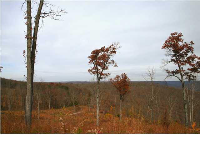 0 Jackson Point Road, Unit 1 Sewanee, TN 37375 - Photo 6 of 7 View #5