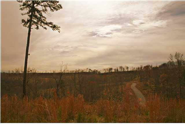 0 Jackson Point Road, Unit 1 Sewanee, TN 37375 - Photo 7 of 7 View #6