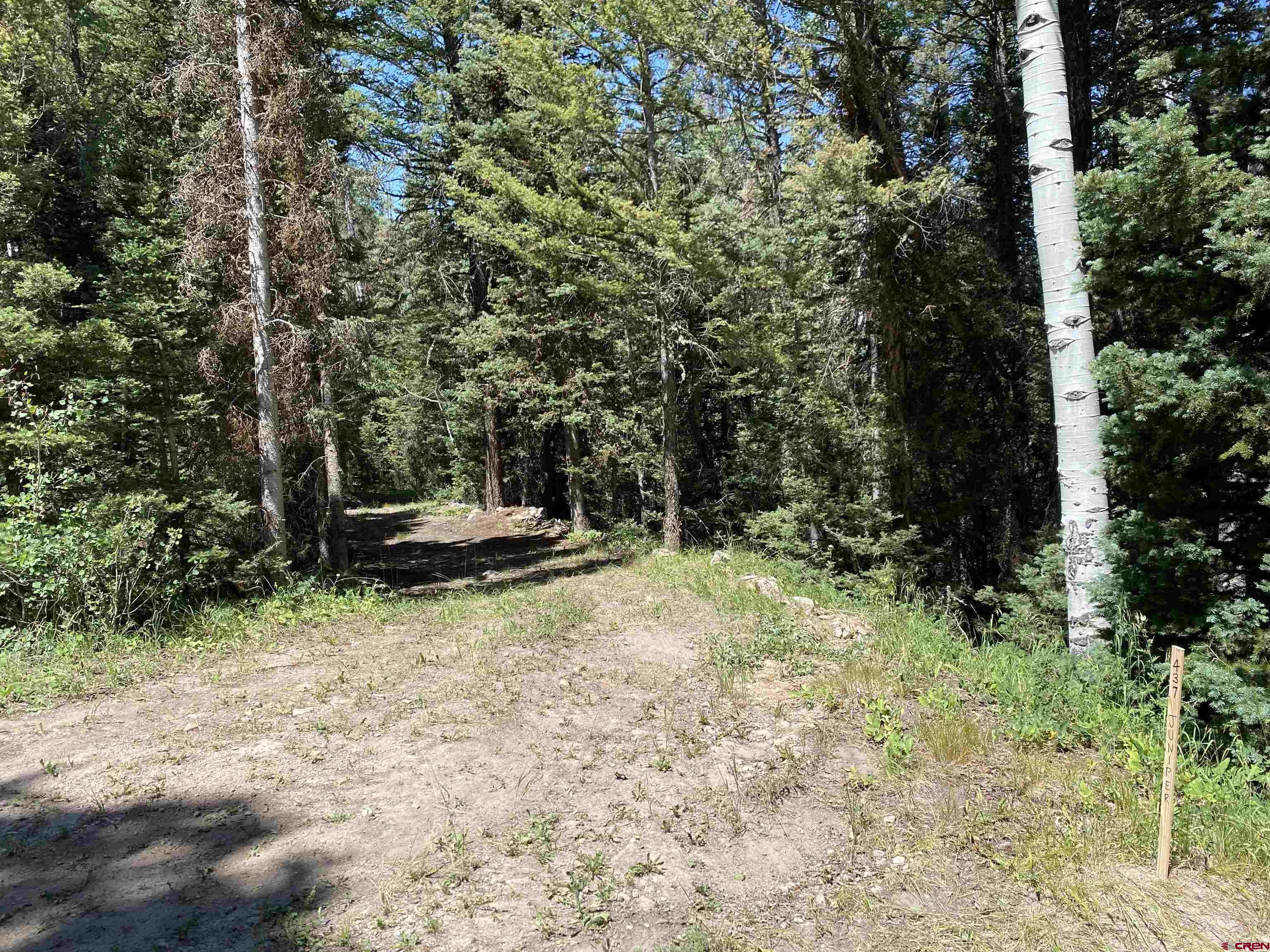 437 Juniper Drive Cimarron, CO 81220 - Photo 2 of 6 Entry to driveway on Juniper Drive.