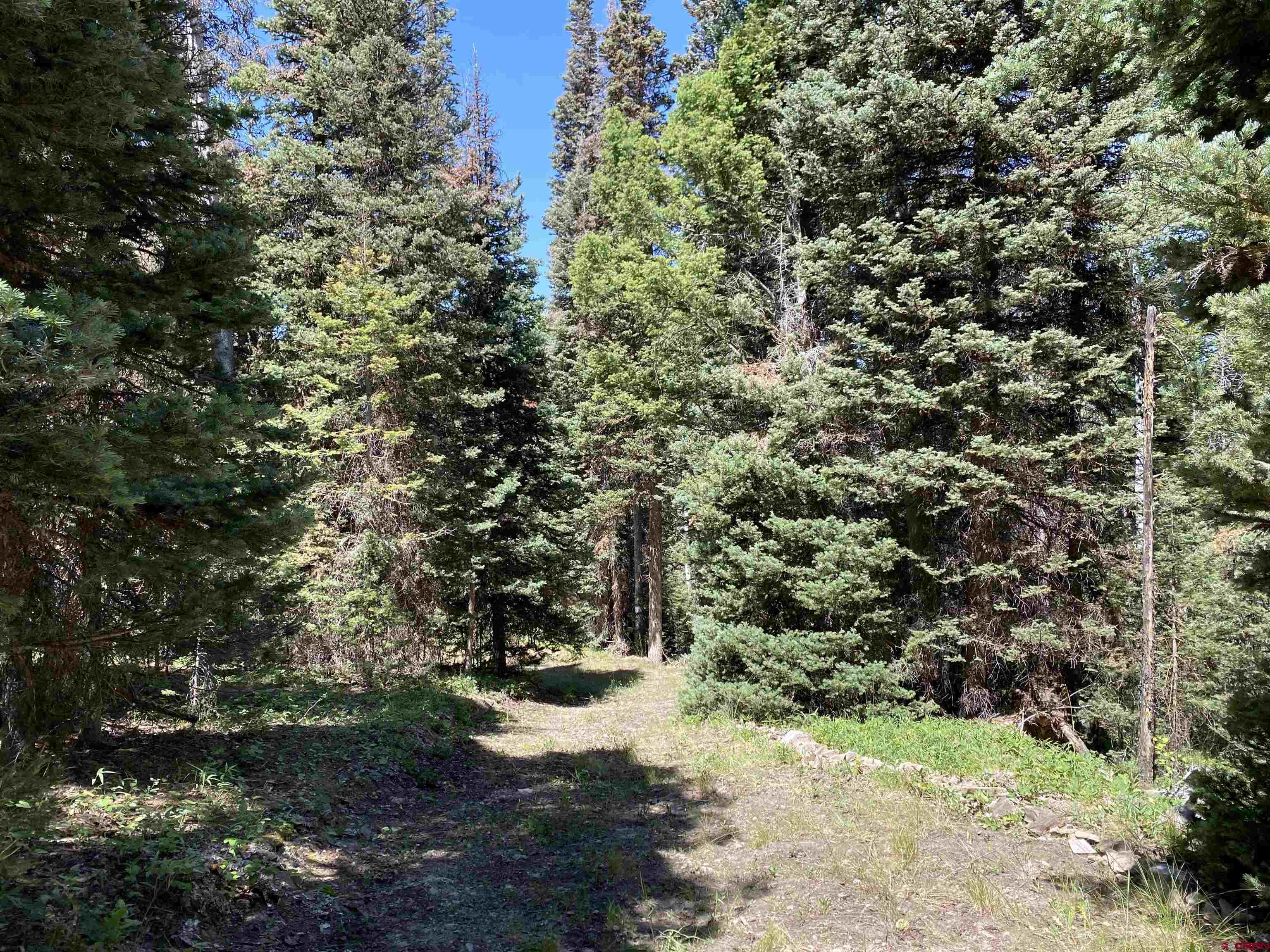 437 Juniper Drive Cimarron, CO 81220 - Photo 3 of 6 Halfway down driveway- leveled area is around corner to the left.
