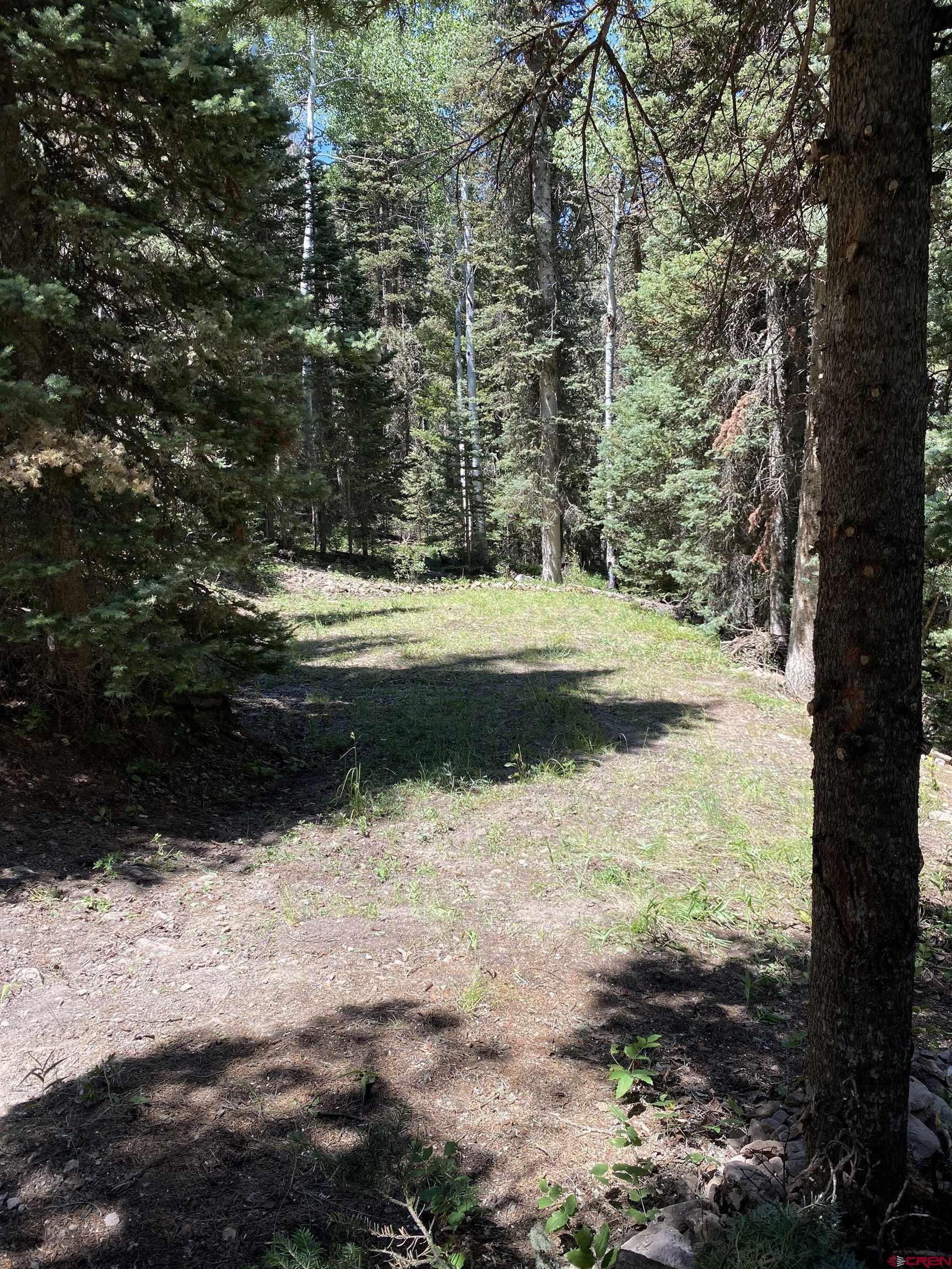 437 Juniper Drive Cimarron, CO 81220 - Photo 4 of 6 Looking at leveled area as you drive into lot.