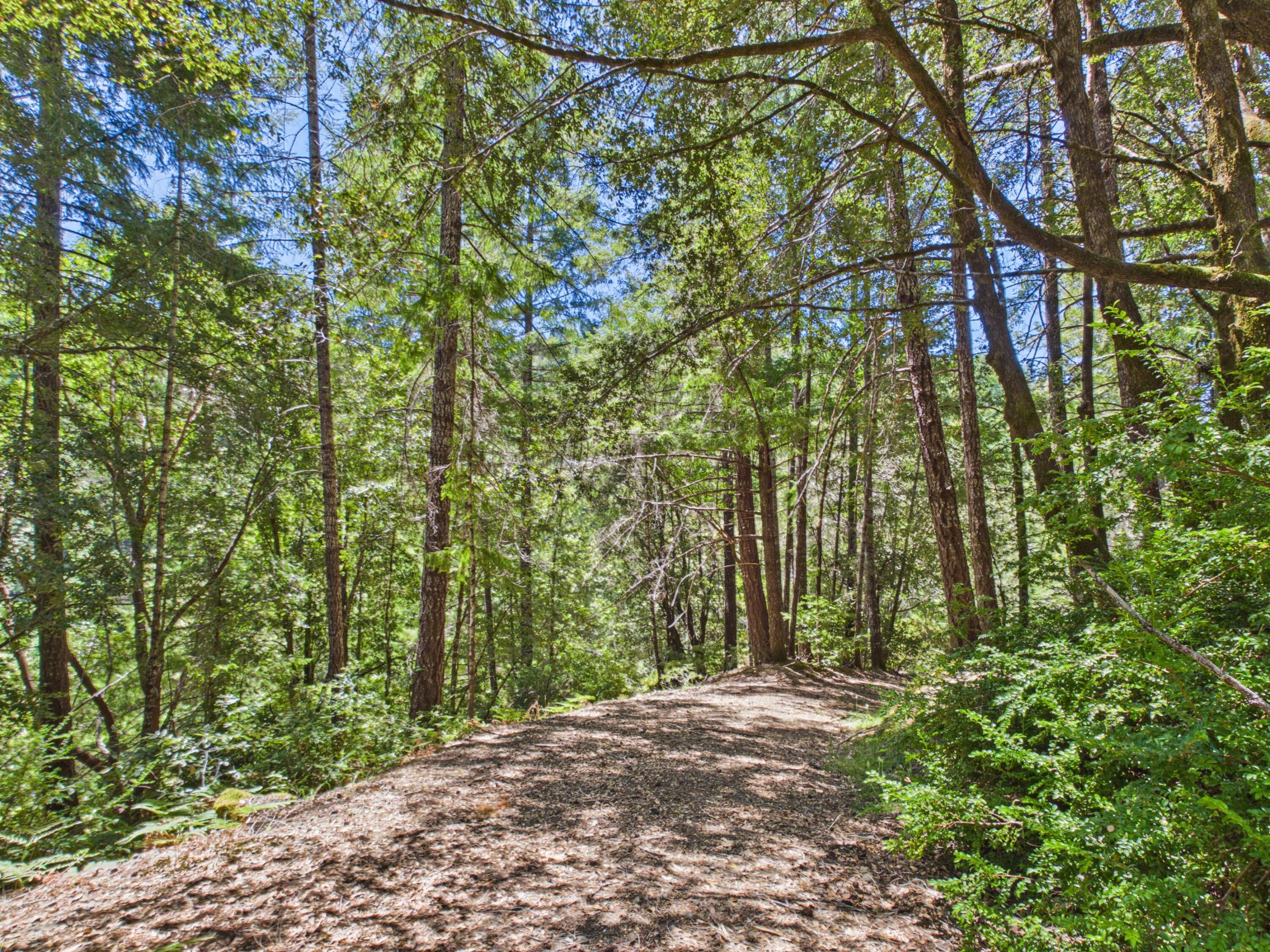 1055 Goodman Ranch Road Garberville, CA 95542 - Photo 44 of 63