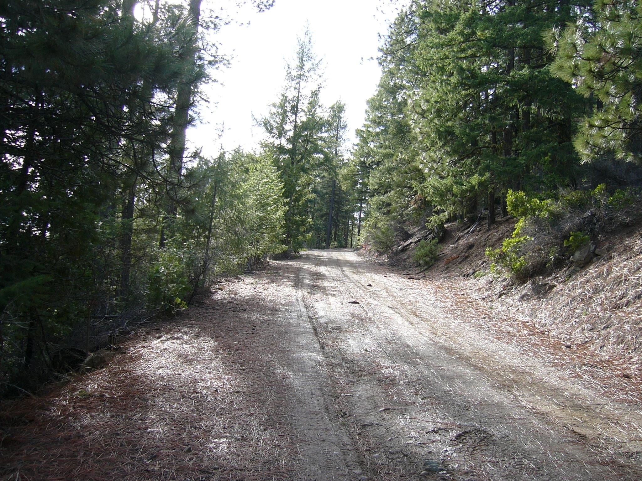 159.4 Acres Ridge Road Yreka, CA 96097 - Photo 12 of 23 Gallery Image 12