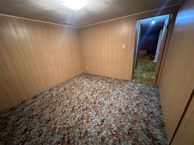 51 Elm Boulevard Babbitt, MN 55706 - Photo 25 of 40 Empty room with carpet floors and wooden walls