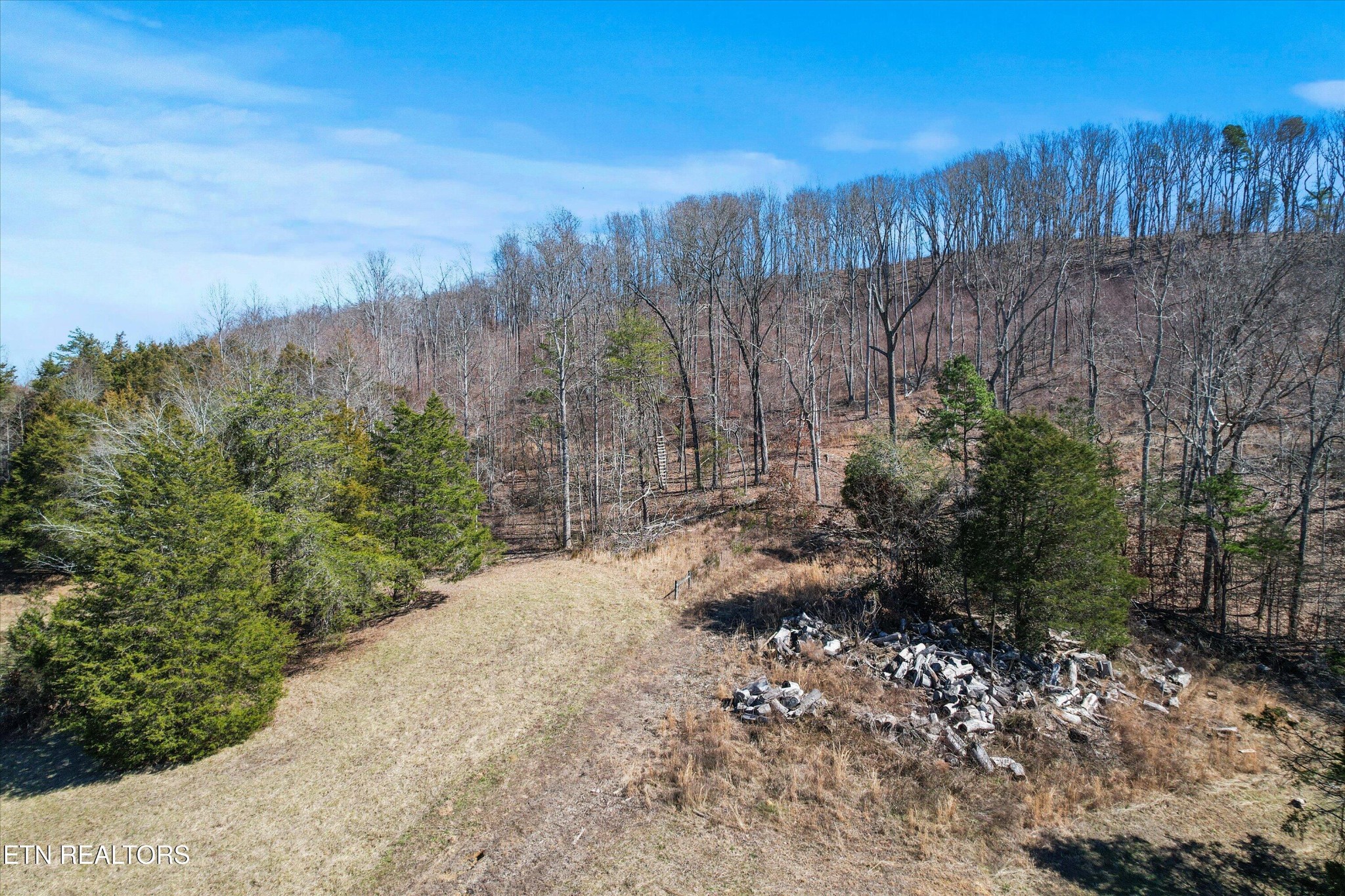 0 Paint Rock Valley Road Philadelphia, TN 37846 - Photo 15 of 40 a view of a backyard