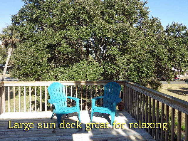 1404 Jungle Road Edisto Beach, SC 29438 - Photo 3 of 58 3a