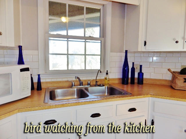 1404 Jungle Road Edisto Beach, SC 29438 - Photo 8 of 58 4A